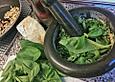 Momos Pesto