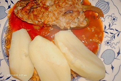Gefüllte Paprika 14