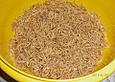 Chinakohlsalat