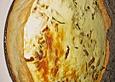 Mangold - Pfifferling Tarte