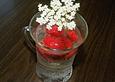 Holunderbl&uuml;ten - Bowle mit Erdbeeren