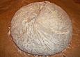 Honig-Bier Brot