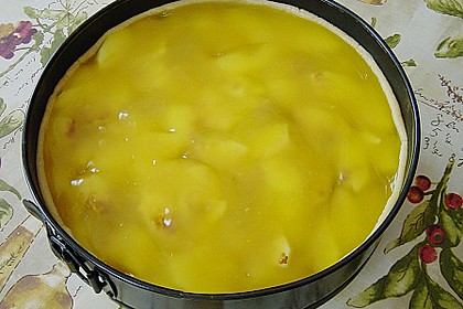 Apfelweintorte 29