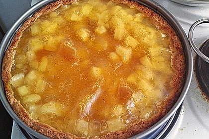 Apfelweintorte 23