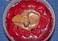 Lebkuchenmousse