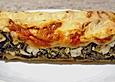 Cannelloni mit Spinat - Feta - F&uuml;llung