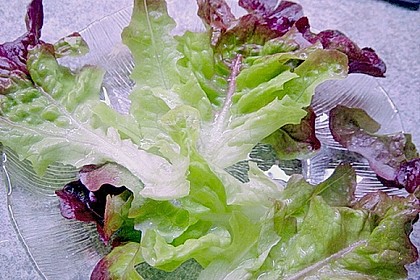 Blattsalat mit Mango und Schafskäse 57