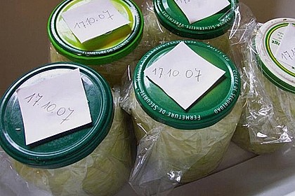 Sauerkraut in einem Glas selbst gemacht 21