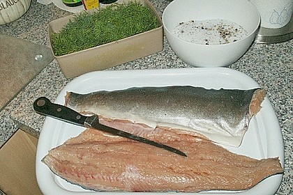 Graved Lachs