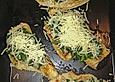 Provenzalische Schnitzel