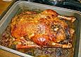 Knoblauch - Ente