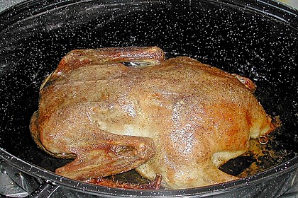 Knoblauch - Ente 31