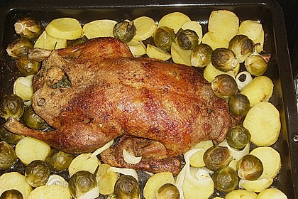 Knoblauch - Ente 11