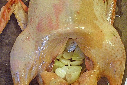 Knoblauch - Ente 21