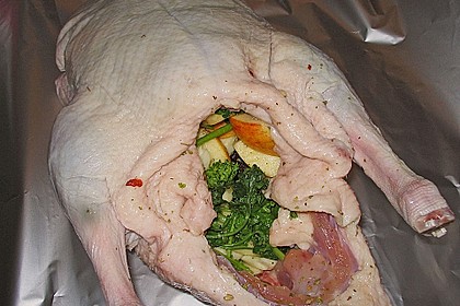 Knoblauch - Ente 24