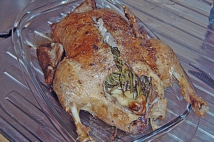 Knoblauch - Ente 16