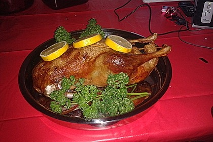 Knoblauch - Ente 3