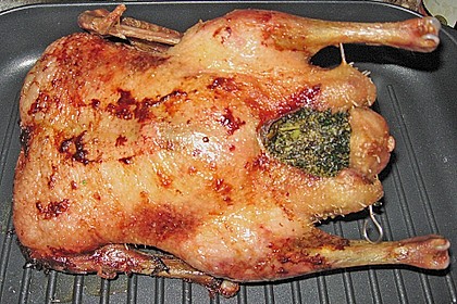 Knoblauch - Ente 28