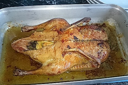 Knoblauch - Ente 14