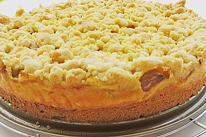 Rhabarberkuchen mit Vanillecreme und Streusel 176