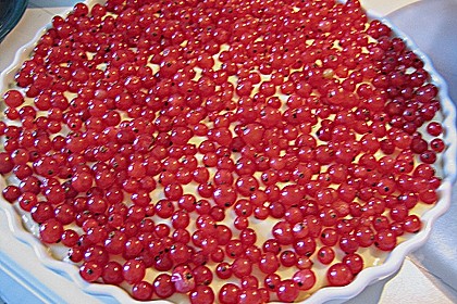 Rhabarberkuchen mit Vanillecreme und Streusel 220