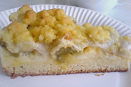 Rhabarberkuchen mit Vanillecreme und Streusel 67
