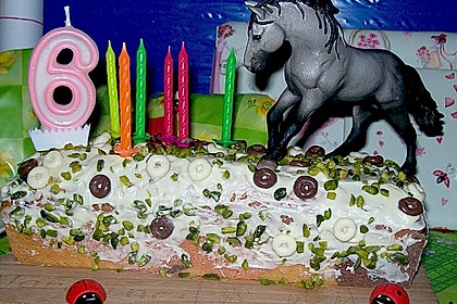 Alinas Papageienkuchen 49