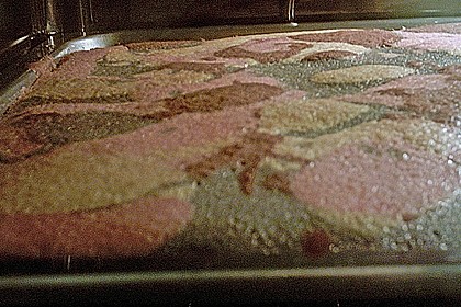 Alinas Papageienkuchen 194