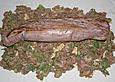 Schweinefilet im Bl&auml;tterteigmantel