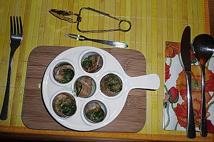 Schnecken 1