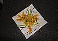 Fruchtig pikanter Fenchel-Orangensalat