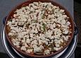 Zucchinipfanne mit Feta &uuml;berbacken