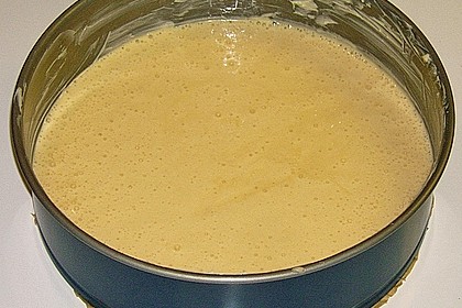 Andis heller Tortenboden 4