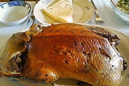 Ente 5