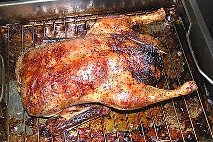 Ente 1