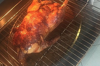 Ente 7