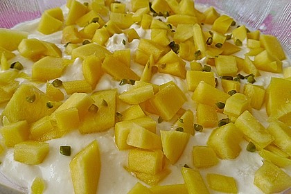 Mango-Joghurt Dessert 4