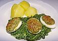 Spinat-Eier Gratin