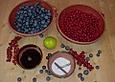 Blaubeer-Johannisbeer Fruchtaufstrich / Konfit&uuml;re