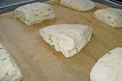 Schwarzbier-Panini 1