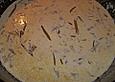 Edelfischragout mit Estragonso&szlig;e