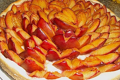 Hefebodenteig f&uuml;r Pflaumen oder Mirabellenkuchen 3