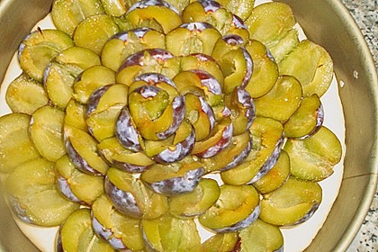 Hefebodenteig f&uuml;r Pflaumen oder Mirabellenkuchen 8