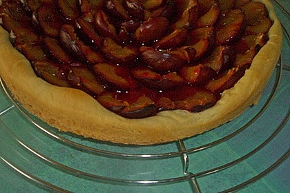 Hefebodenteig f&uuml;r Pflaumen oder Mirabellenkuchen 10