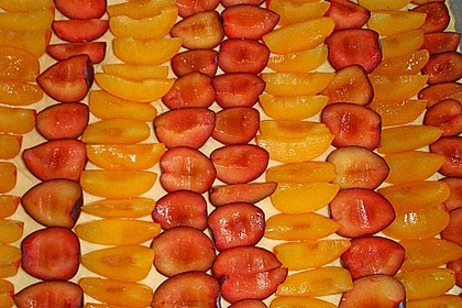 Hefebodenteig f&uuml;r Pflaumen oder Mirabellenkuchen 11