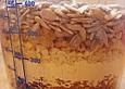 Gew&uuml;rzbrot