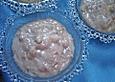 Vanillepudding vegan