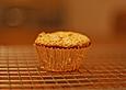 Schoko-Kokos Muffins