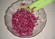 Rotkrautsalat