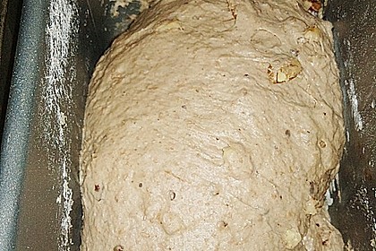 Pflaume-Walnuss-Brot 2